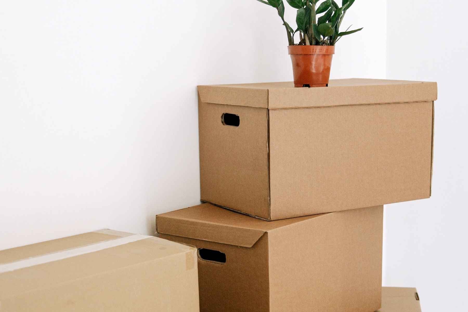 Collection of card boxes for moving