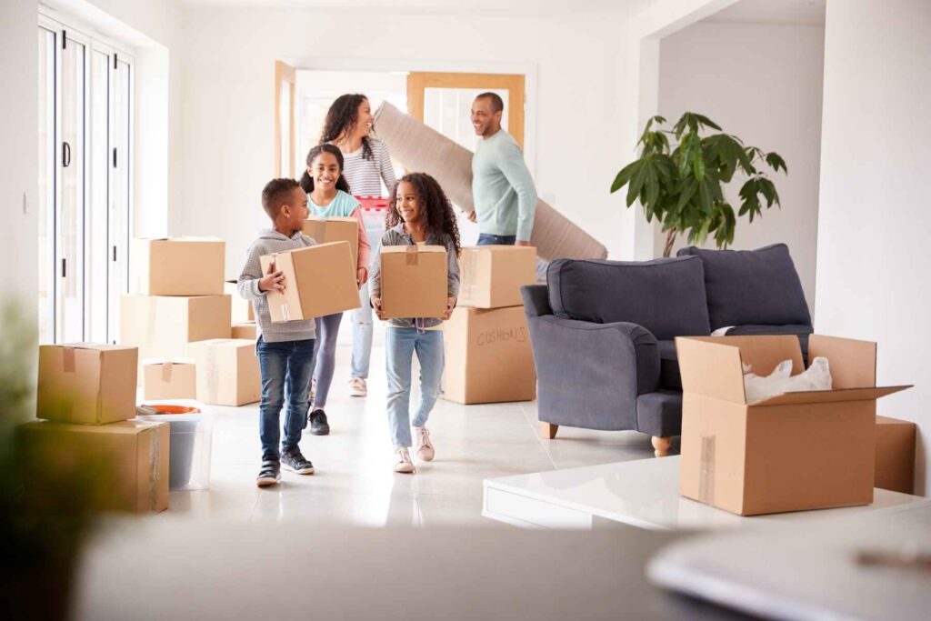 port elizabeth professional furniture removals