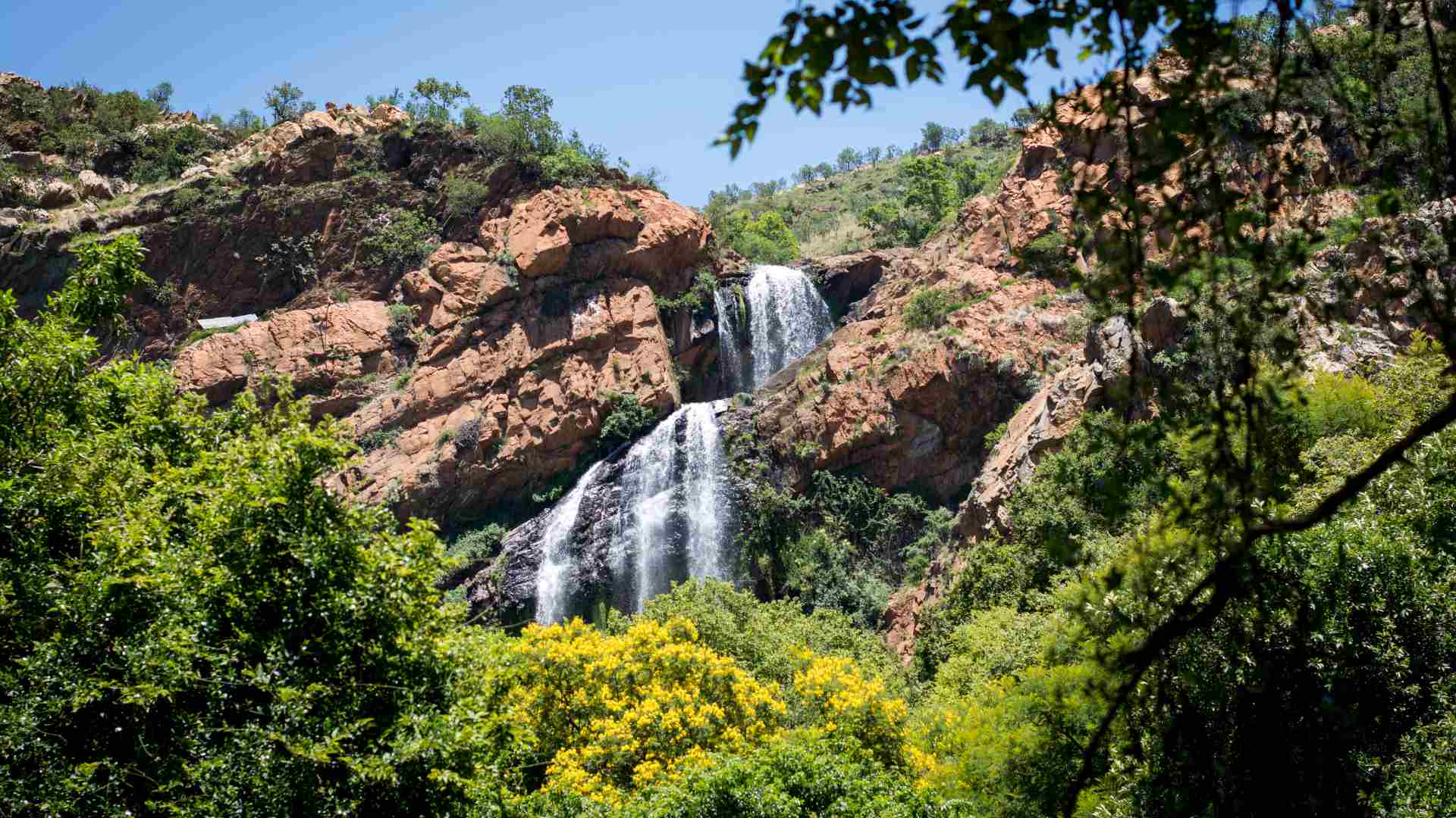 Professional furniture removals in Waterfall